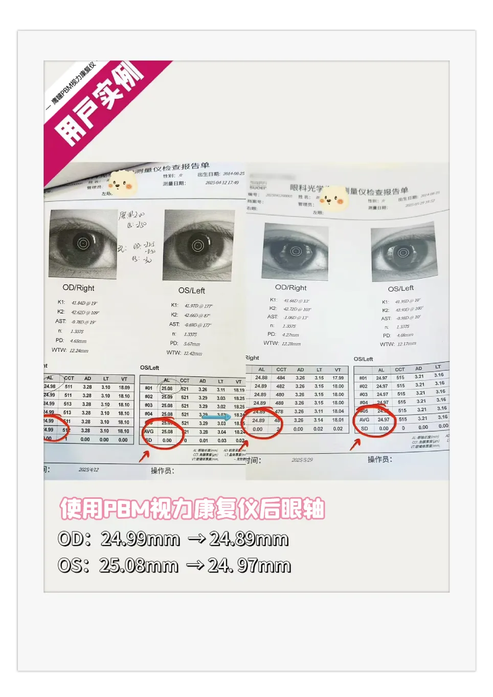 案例图片 3